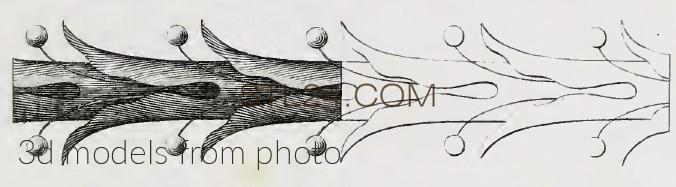 Фризы (FRIESE_1335 -  | 3D model 3DSMAX / OBJ / STL) 3D модель для ЧПУ станка